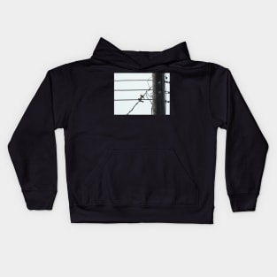 birds on a wire Kids Hoodie